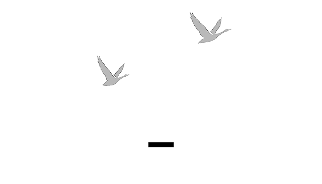 GREY_GOSSE